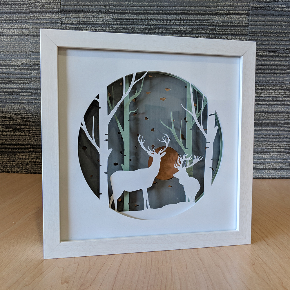 SHADOW BOX